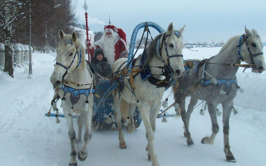 Лагерь дружба великий устюг фото